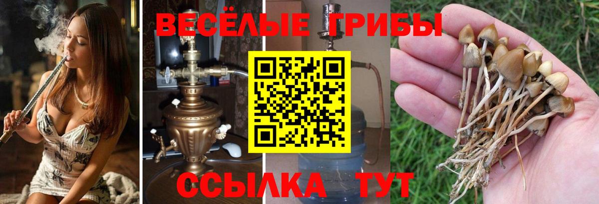 Галлюциногенные грибы мухоморы Омск